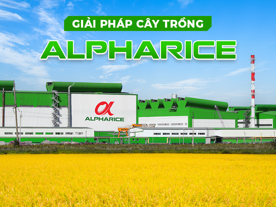 Video giới thiệu